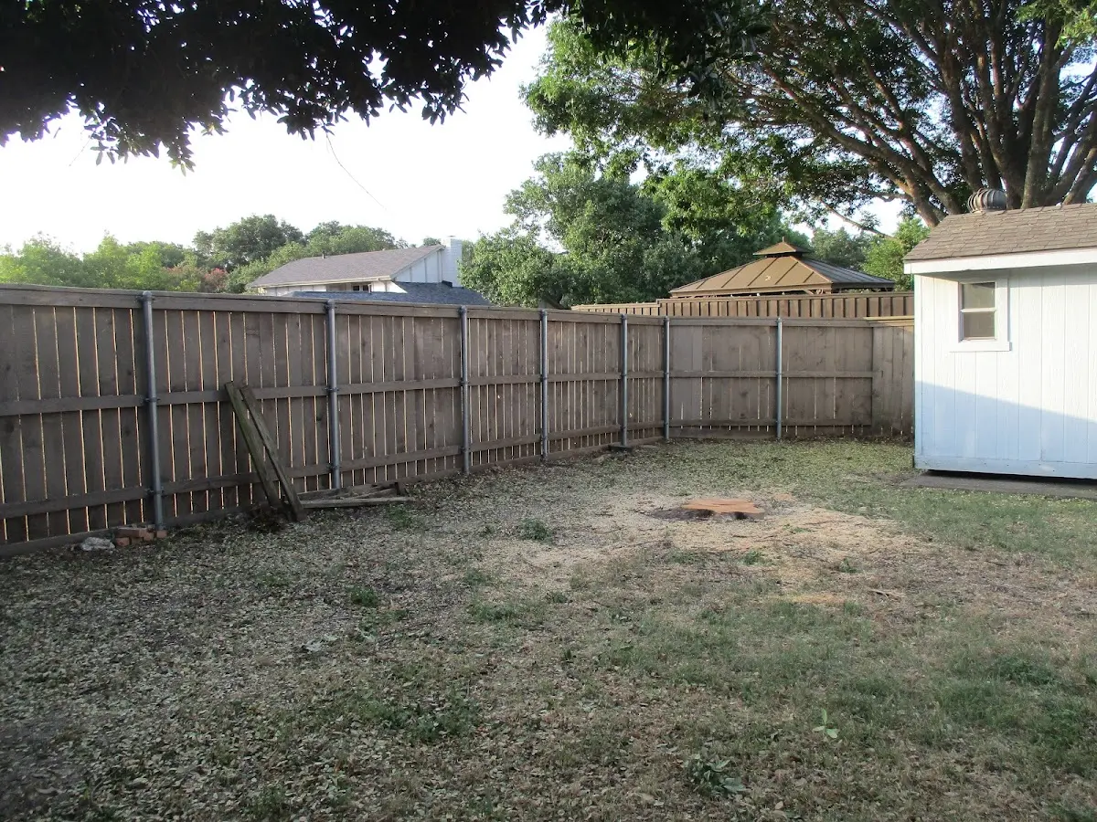 Cleared yard after professional tree removal in Palm Desert